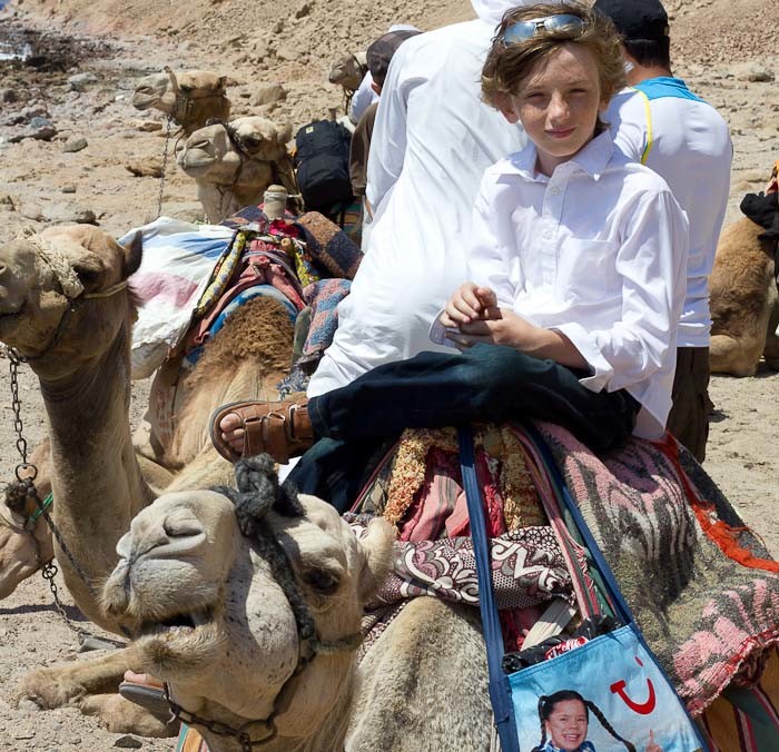 Zac riding a camel to go diving in Egypt.