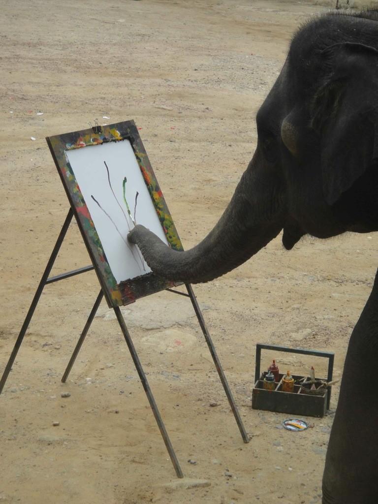 Elephant Artists: Painting Elephants Make Elephant Art